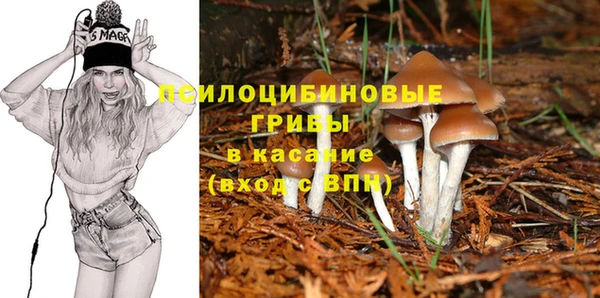амф Алексин