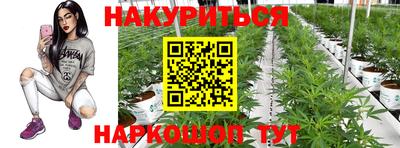 прущие грибы Пугачёв
