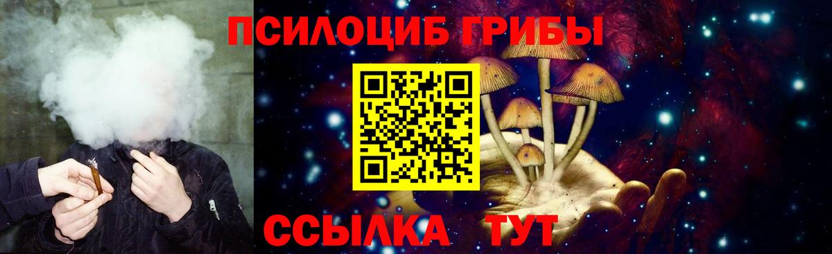 Псилоцибиновые грибы MAGIC MUSHROOMS  Вход с VPN  Тобольск  Галлюциногенные грибы MAGIC MUSHROOMS 